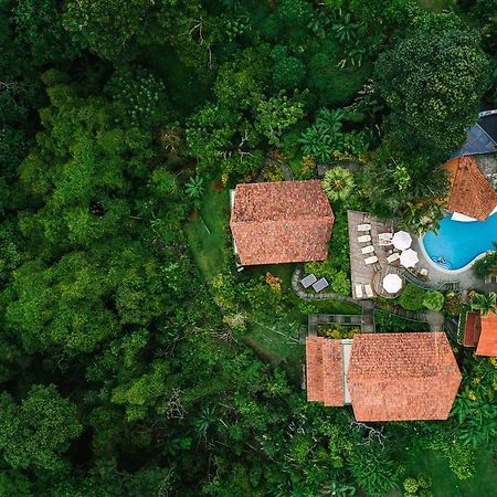 Si Como No Resort & Wildlife Refuge Manuel Antonio Exterior foto
